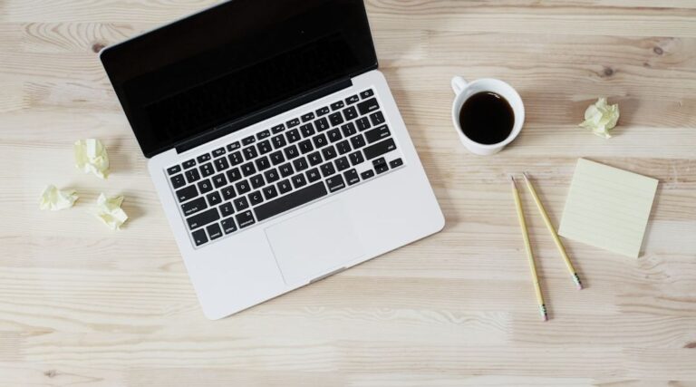 What is a WordPress developer?